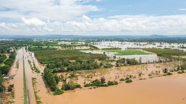An aerial photo of a flooded landscape, with only trees visible in a large lake of brown water. In the far distance mountains are visible.