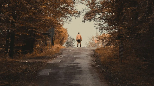 A photo of a road in an Autumn forest. The road slopes upwards, and at the end of the road stands a person wearing a yellow coat, looking into the distance.