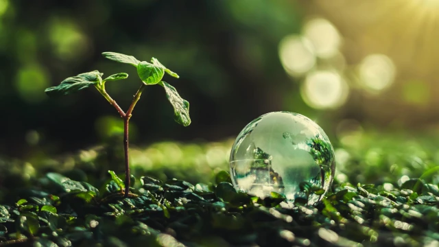 A stock image generated by AI, showing a small plant that has emerged from the undergrowth, next to a small glass ball representing the Earth. The background appears to be a forest, and bright sun rays appear from the top right corner of the image.