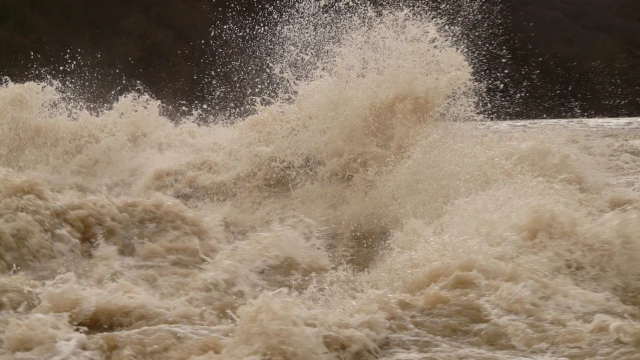 A photo of wild waives.