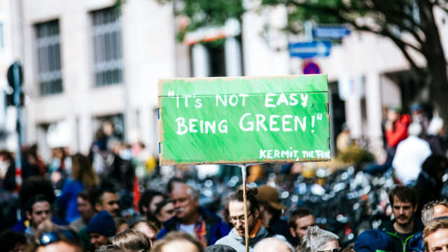 A crowd of people outside a city office building. someone holds a 'its not easy being green' flag.
